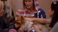 Ollie Locke got a big surprise in the CBB house today when his mum, his sister and his number one fan, his pet dog Evie, came to visit the Made […]