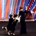Britain’s Got Talent 2011: Donelda Guy and Her Two Collies Impressed at Auditions