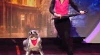 Tina and Chandi won the public vote on Tuesday night’s Britain’s Got Talent semi finals whilst Connected won the judges vote over Neil Fullard. Yes, the dancing rescue dog secured […]