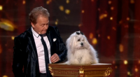 French comedian Marc and Miss Wendy the dog impressed sing I’ll be there on the fourth semi final of Britain’s Got Talent 2015.