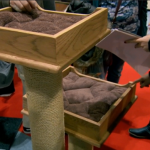 Sales of customisable cat towers on The Apprentice 2015