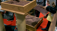 Sales of customisable cat towers proved a challenge for one team on The Apprentice 2015.