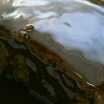 Saturday Kitchen:  Sticky toffee pudding from the village of Cartmell revealed by Rick Stein
