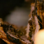 Jamie Oliver epic porchetta pork loin with Italian stuffing recipe
