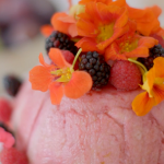 Si and Dave’s four seasons summer pudding with plums, berries and gin recipe on The Hairy Bikers Go Local