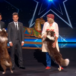 Jules O’Dwyer, Matisse and best friend Chase  Dog routine impressed on the second semi final of Britain’s Got Talent 2015 
