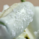 Tequila Chillies with white chocolate recipe on Sweets Made Simple