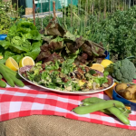 Phil Vickery summer Caesar salad with broccoli, lettuce and broad beans recipe on This Morning